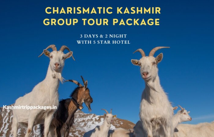 Charismatic Kashmir Group Tour Package