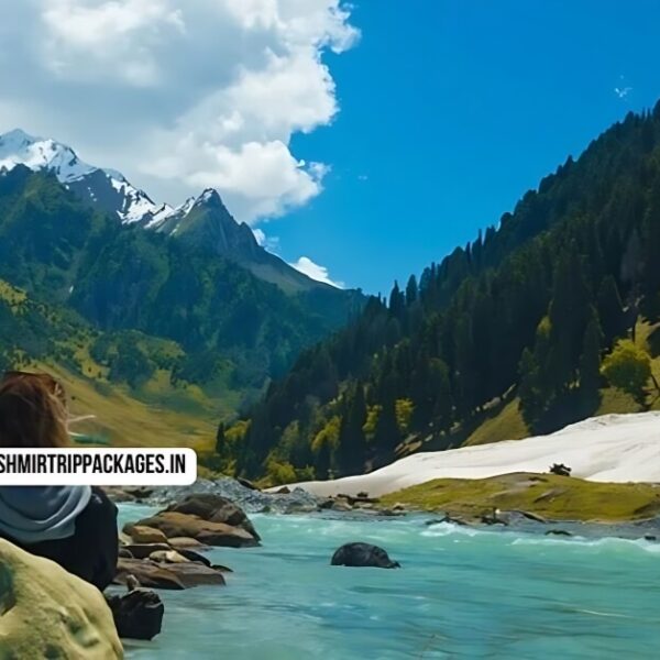 Kashmir Tour Package