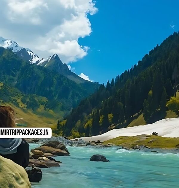 Kashmir Tour Package