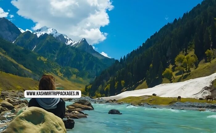 Kashmir Tour Package