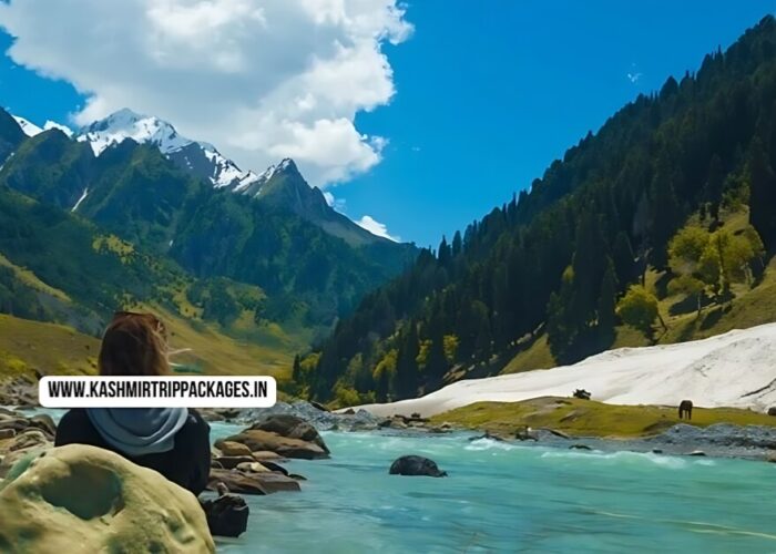 Kashmir Tour Package