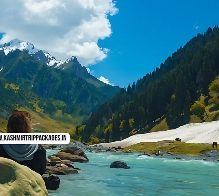 Kashmir Tour Package