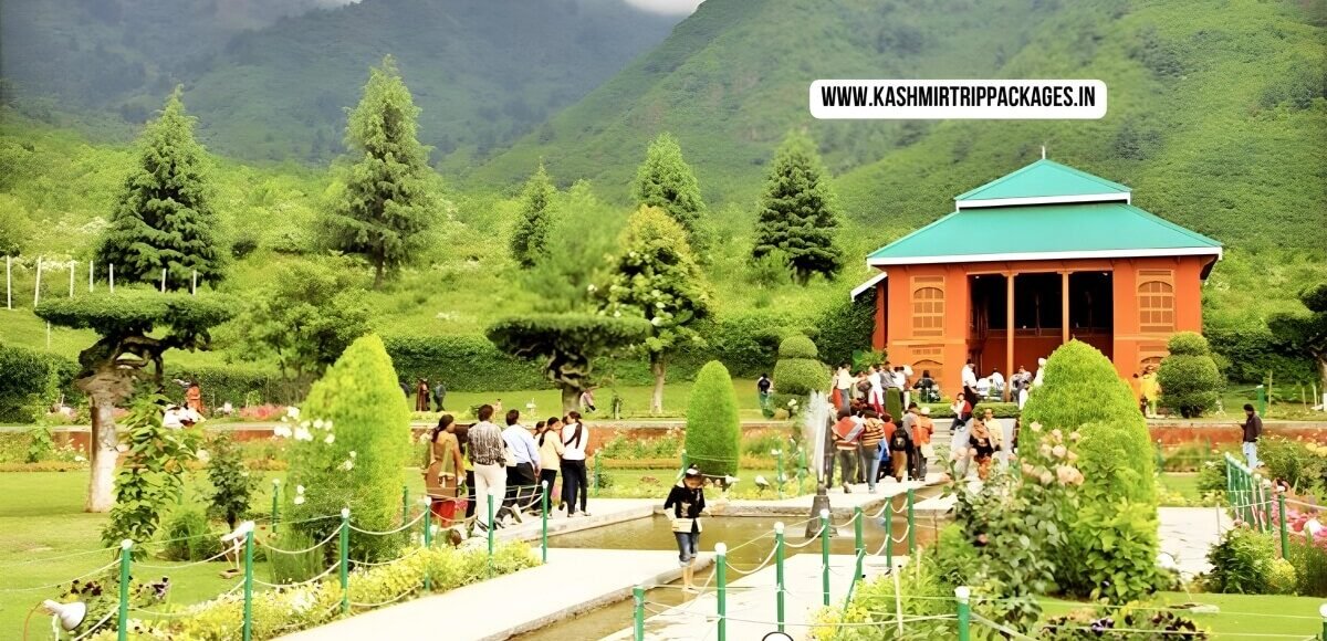 Charming Kashmir Family Package