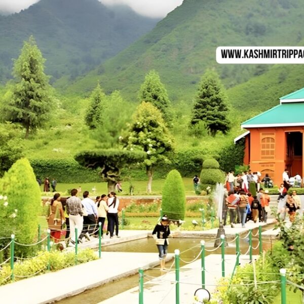 cheapest tour packages for kashmir