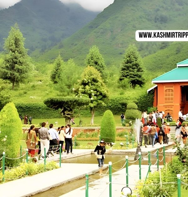 cheapest tour packages for kashmir