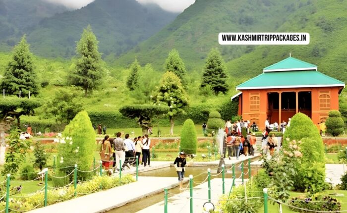 cheapest tour packages for kashmir