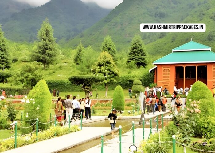 cheapest tour packages for kashmir