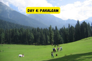 trip to kashmir package