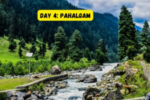 trip to kashmir package