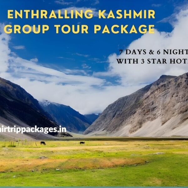 kashmir tour package