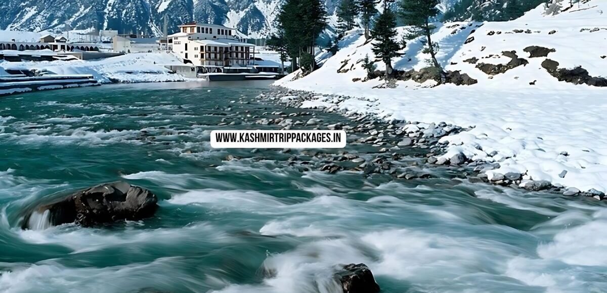 Exclusive Kashmir Family Tour Package