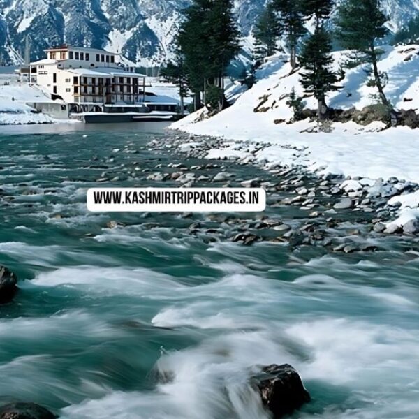 Kashmir Family Tour Package