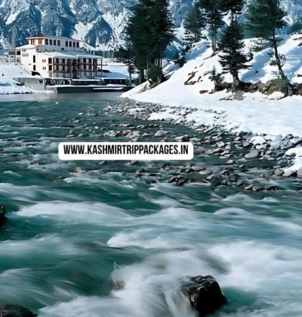 Kashmir Family Tour Package