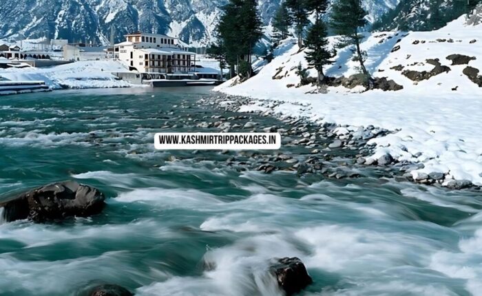 Kashmir Family Tour Package