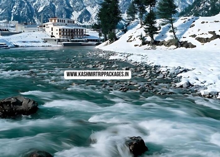 Kashmir Family Tour Package