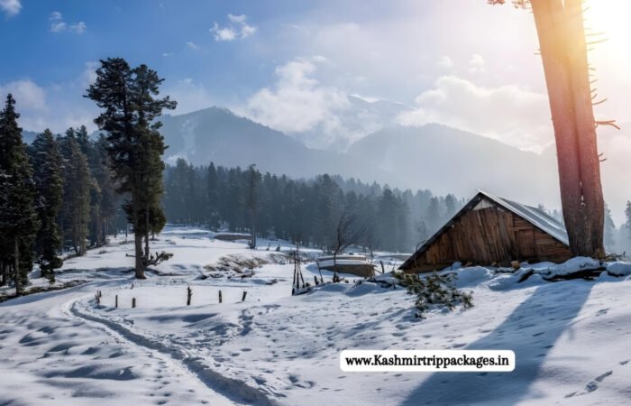 Fascinating Kashmir Winter Tour package