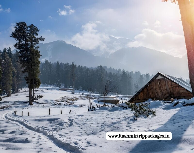 Fascinating Kashmir Winter Tour package