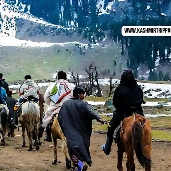 cheapest tour packages for kashmir