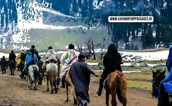 cheapest tour packages for kashmir