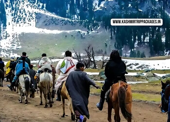 cheapest tour packages for kashmir