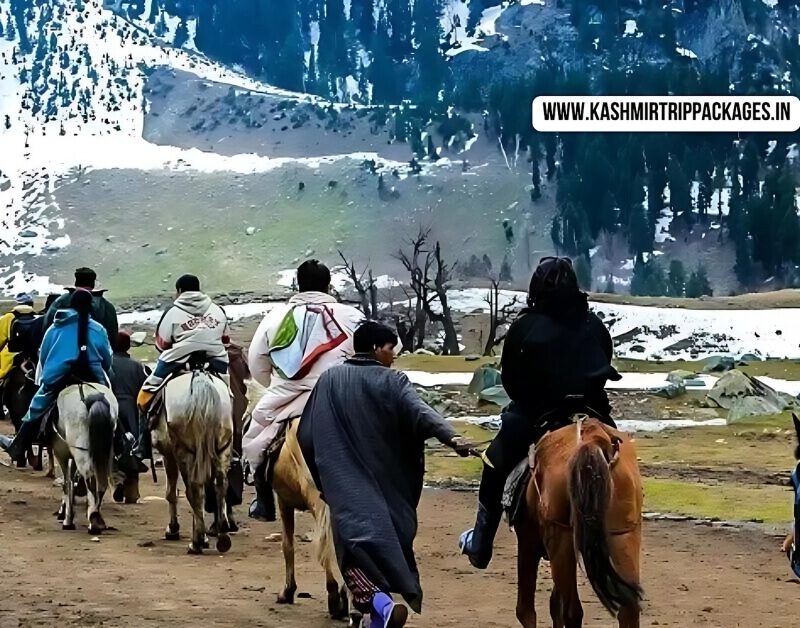 cheapest tour packages for kashmir