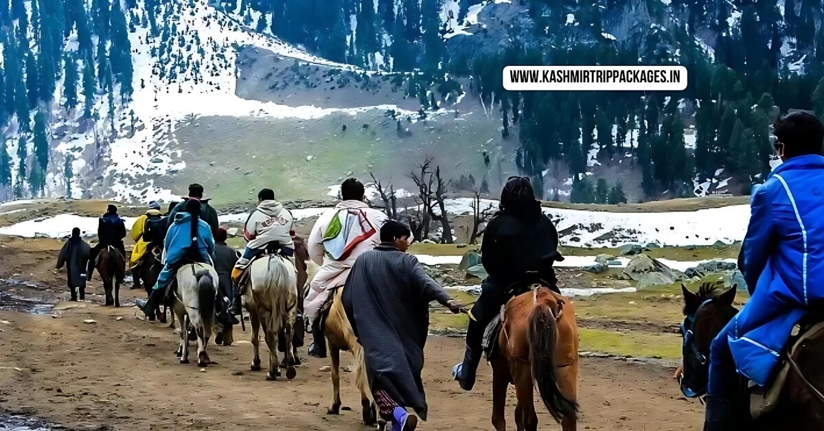 cheapest tour packages for kashmir