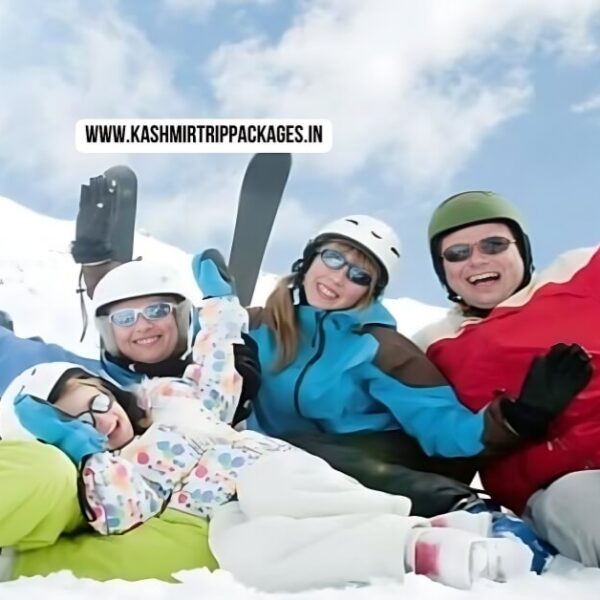 kashmir Family Tour Package