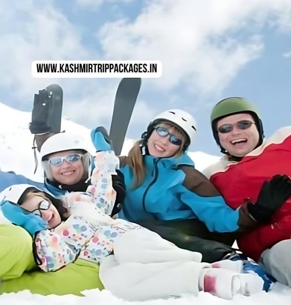 kashmir Family Tour Package