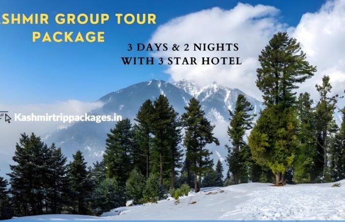 Kashmir Group Tour Package