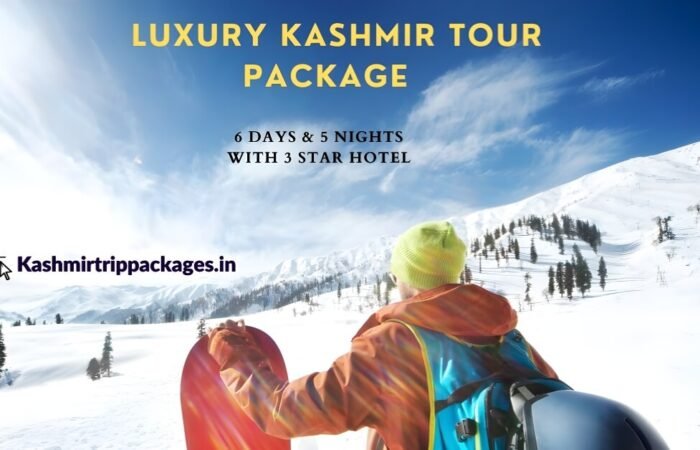 Luxury Kashmir Tour