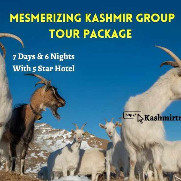 kashmir tour packages with price