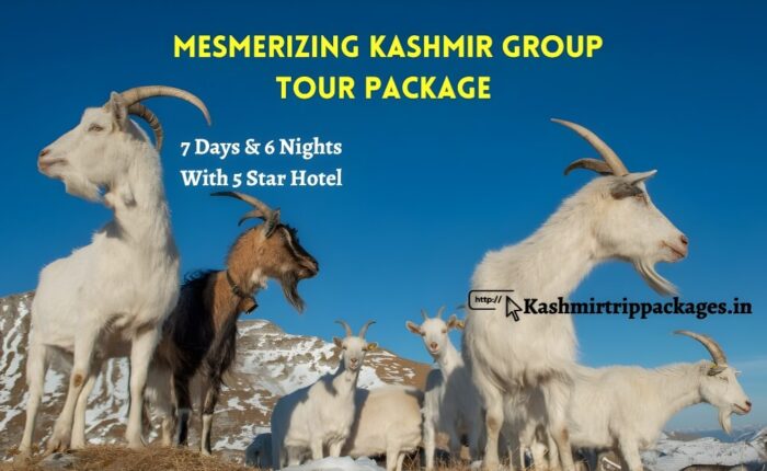 kashmir tour packages with price