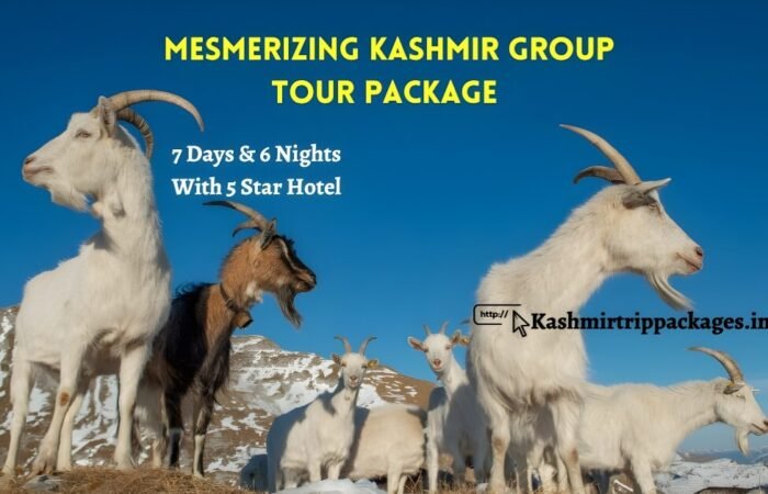 Mesmerizing Kashmir Group Tour Package