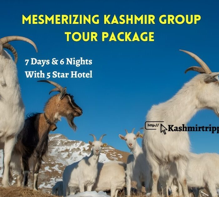 kashmir tour packages with price