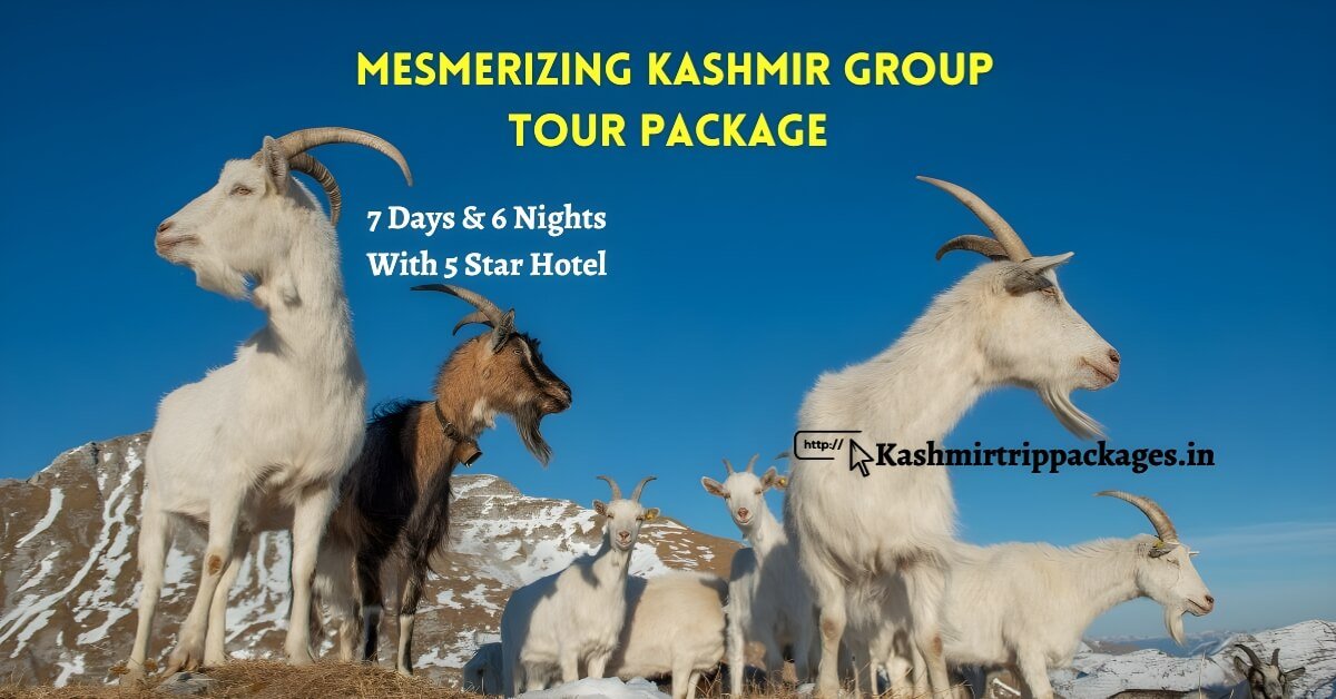 Mesmerizing Kashmir Group Tour Package