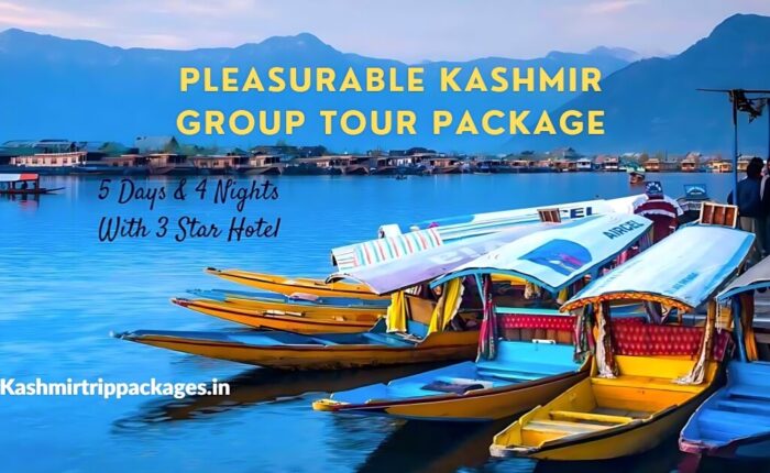 kashmir tour packages with price