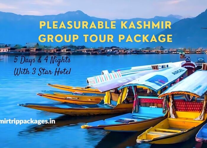 kashmir tour packages with price