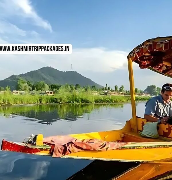 cheapest tour packages for kashmir