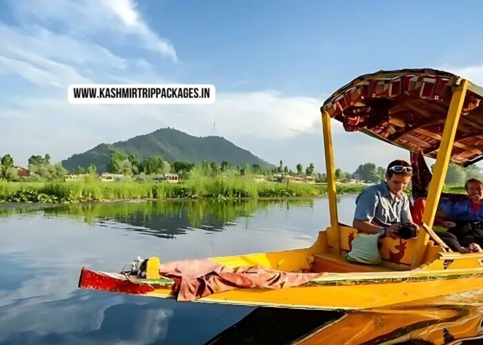 cheapest tour packages for kashmir