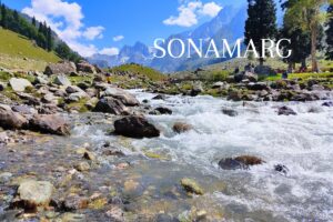 hotels in sonmarg