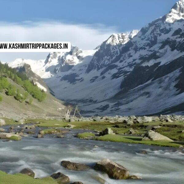 cheapest tour packages for kashmir