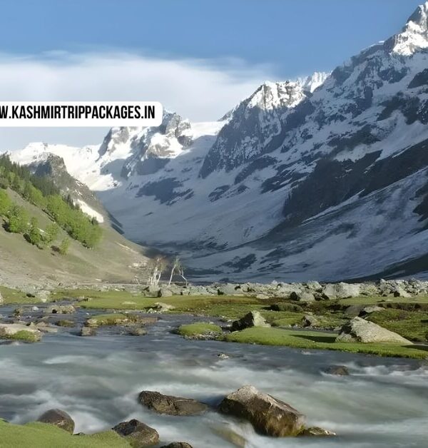 cheapest tour packages for kashmir