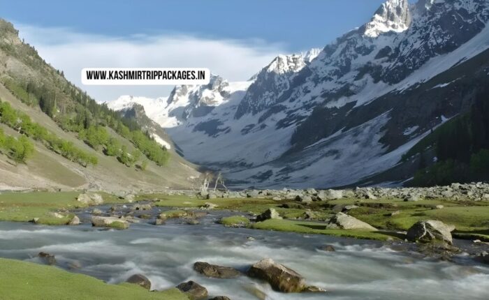 cheapest tour packages for kashmir