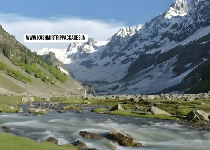 cheapest tour packages for kashmir