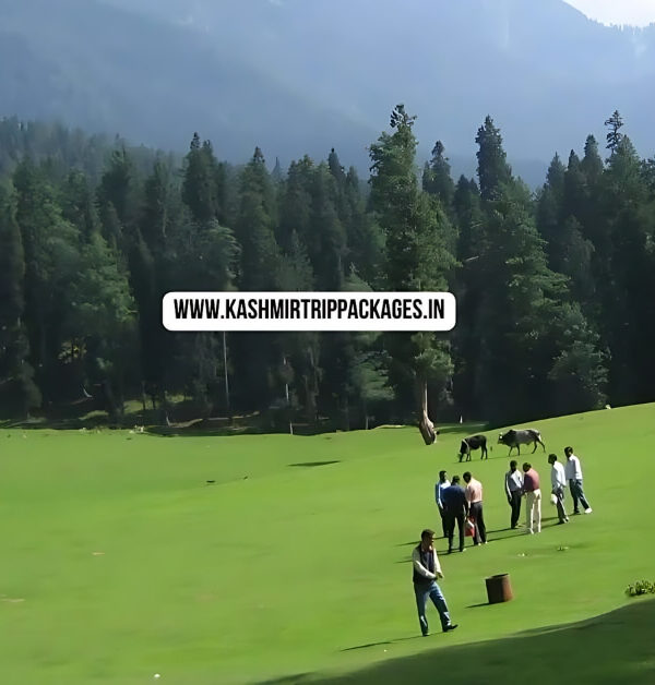 cheapest tour packages for kashmir