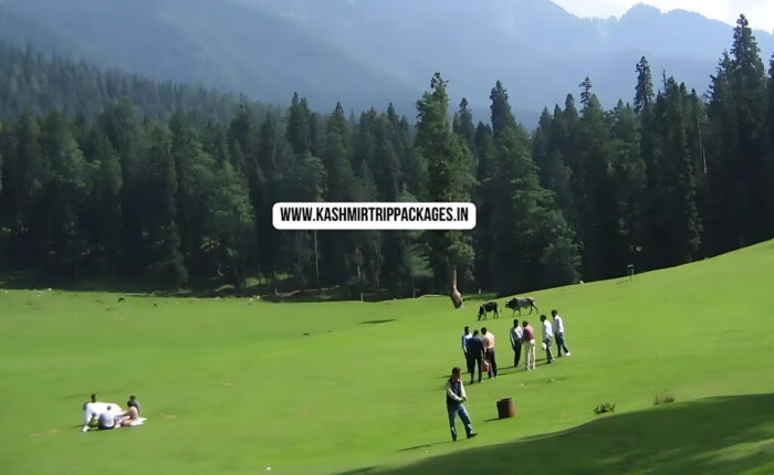 cheapest tour packages for kashmir