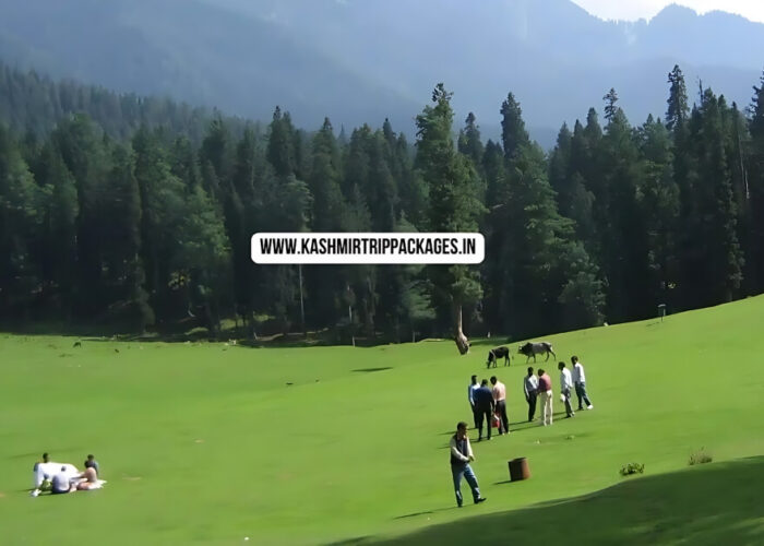 cheapest tour packages for kashmir