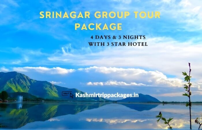 srinagar group tour