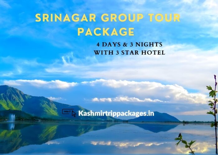 kashmir tour package