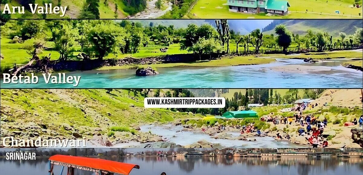 Srinagar Pahalgam Gulmarg with ABC Valley